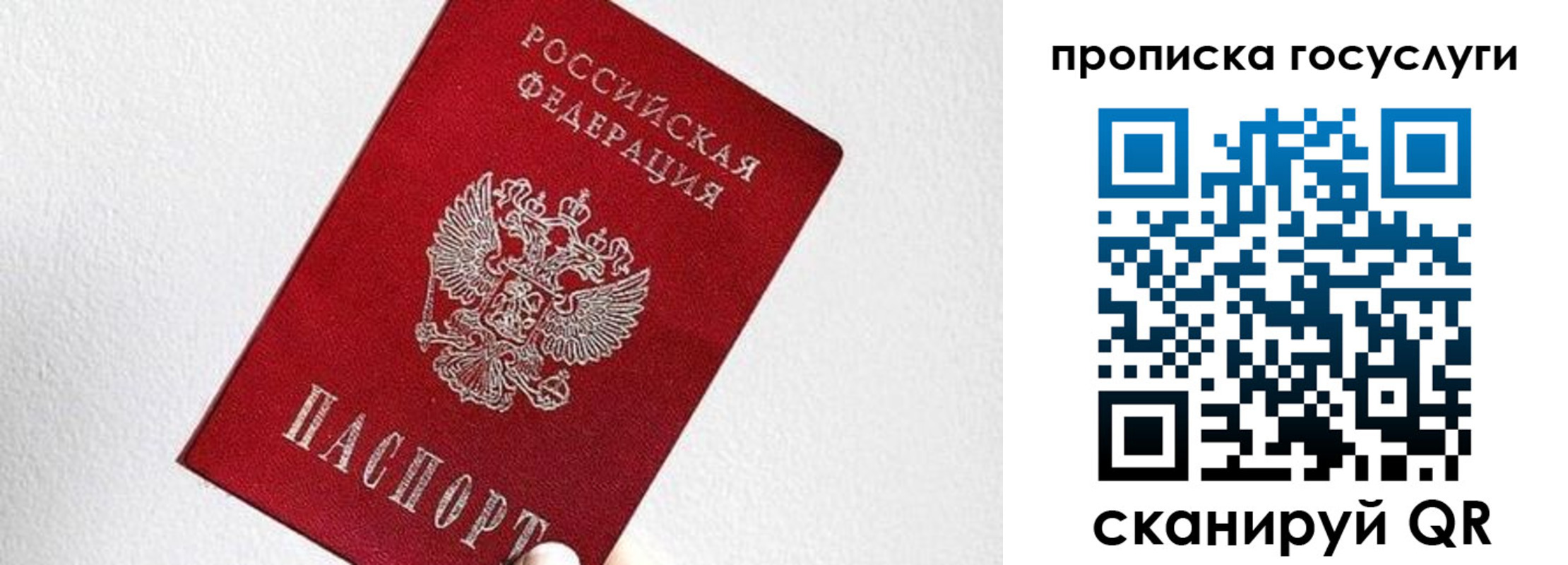 прописка законно в Рыбном
